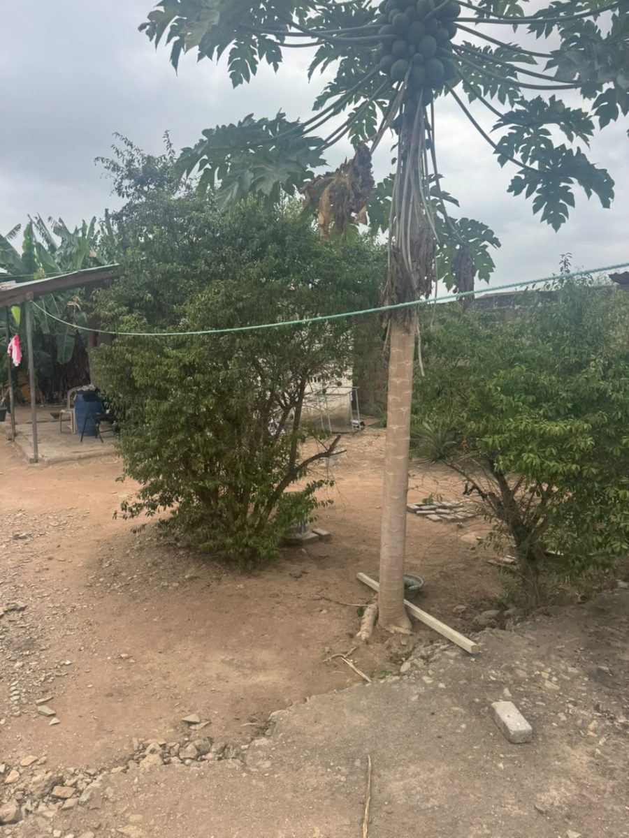 LAND FOR SALE